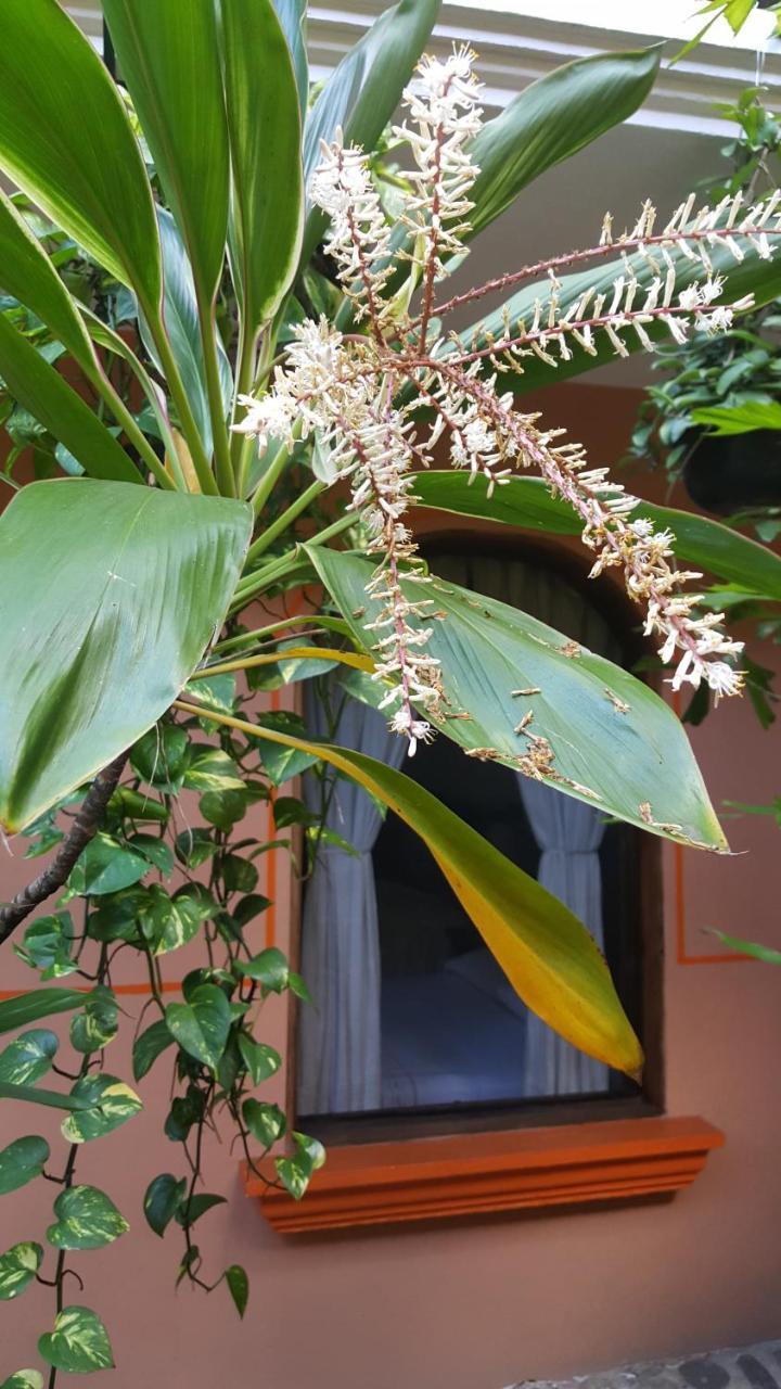 Hotel Posada San Jeronimo コアテペク エクステリア 写真